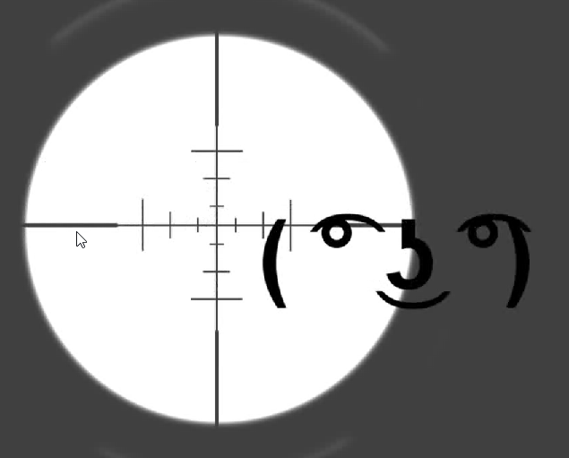 Swf 101